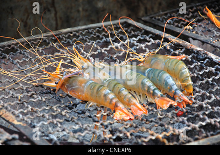 Tiger prawns cooking on grill in street seafood stall, Yaowarat Road (Chinatown), Samphanthawong District, Bangkok, Thailand Stock Photo