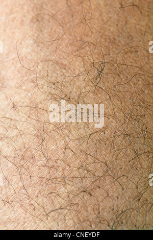 Human skin with strands of hair close up showing ridges and patterns of skin on leg Stock Photo