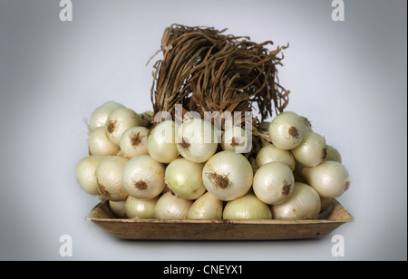 Bunch of white onions on a plate with dried leaves intact Stock Photo