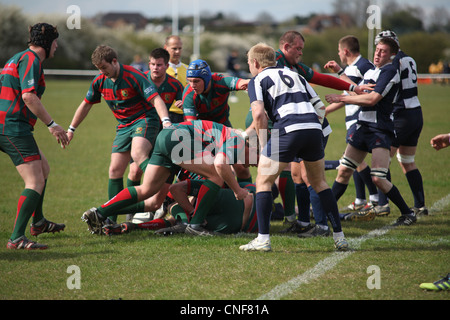 Leighton Buzzard and Paviors players in a ruck or maul contesting the ball Stock Photo