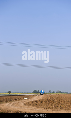 Open farmers field ploughed with clear blue sky empty field, crop rotation ready to plant Stock Photo