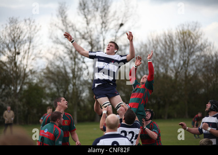 Leighton Buzzard and Paviors rugby players contest a lineout Stock Photo