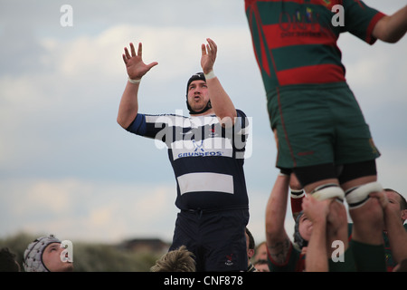 Leighton Buzzard and Paviors rugby players contest a line out Stock Photo