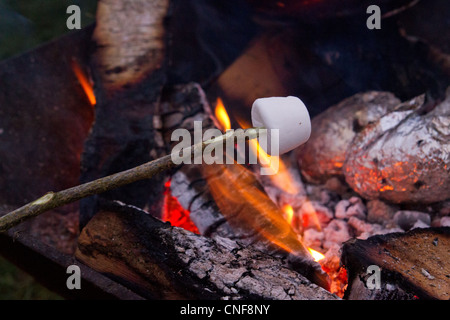 Toasting a marshmallow on an open fire Stock Photo