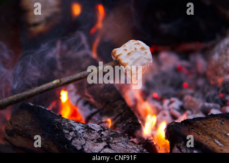 Toasting a marshmallow on an open fire Stock Photo