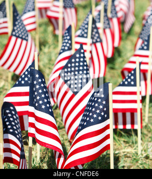 A very shallow DOF shot of large group of small American Flags stuck into the ground along a roadway in the USA. Stock Photo