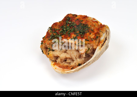 Cape Cod Stuffed clam with bite taken out Stock Photo