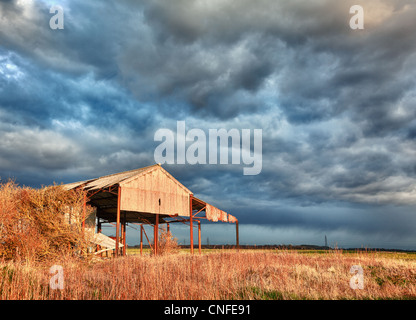 Storm clouds over sunlit deserted and ruined barn on farmland Stock Photo