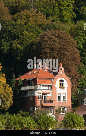 Old Houses lining the north shore of the Neckar River, Heidelberg, Germany. Stock Photo