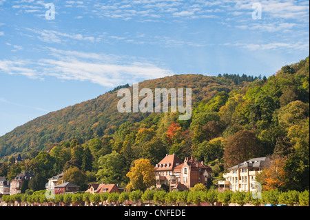 Old Houses lining the north shore of the Neckar River, Heidelberg, Germany. Stock Photo