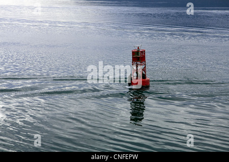 Stellar Sea Lions rest on a red buoy on the Inside Passage near Petersburg, Alaska USA Stock Photo