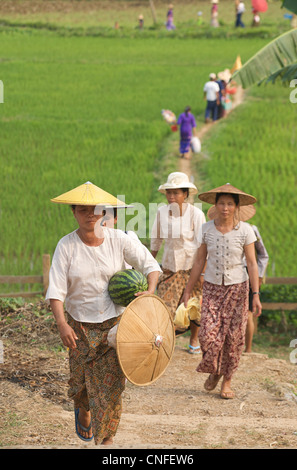 Villagers heading through rice fields to village festival near Kyaukme, south of Hsipaw, Burma Stock Photo