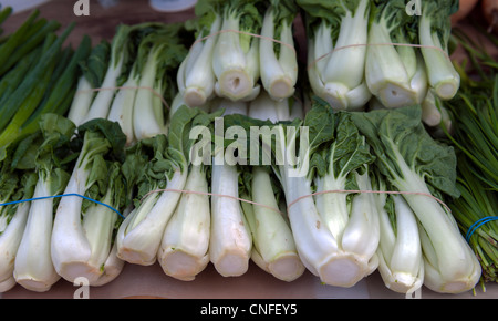 Bok Choy for sale at the farmers market Stock Photo