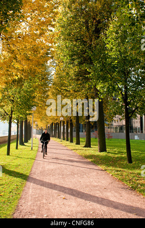 Tree lined bicycle pathway along Elbe River Dresden, Germany. Stock Photo