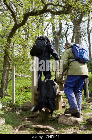 Walkers with dog crossing a Stile in the North Yorkshire National Park, above West Burton, Wensleydale, UK Stock Photo