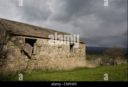 Wensleydale Field Barns in County of North Yorkshire National Park and Dales. Stock Photo