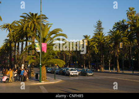 Paseo del Parque street central Malaga Andalusia Spain Europe Stock Photo