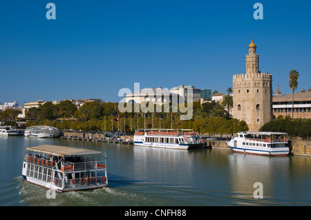 Torre del Oro tower (13th century) by River Guadalquivir central Seville Andalusia Spain Stock Photo