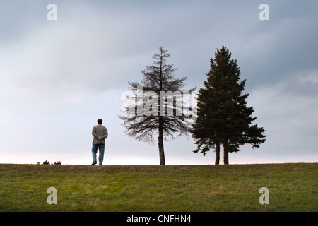 Man standing by two trees Stock Photo
