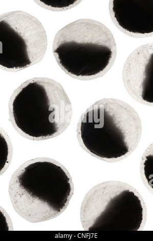 Tea bags Stock Photo