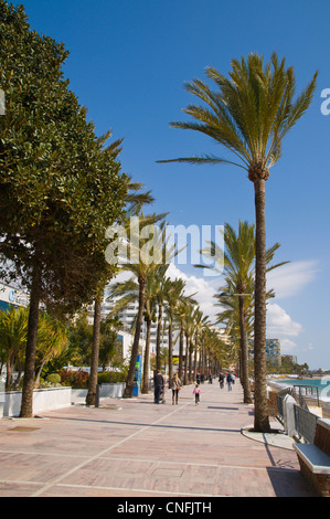 Paseo Maritimo seaside promenade Marbella Andalusia Spain Europe Stock Photo
