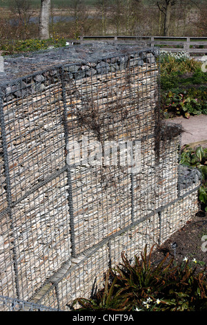 THE GABION WALL AT RHS HYDE HALL. Stock Photo