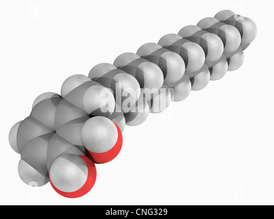 Poison ivy poison molecule Stock Photo