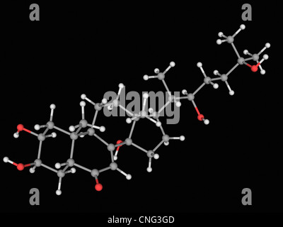 Ecdysone molecule Stock Photo