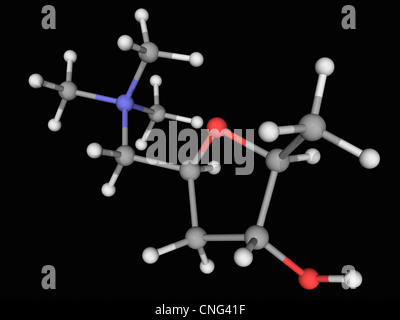 Muscarine molecule Stock Photo