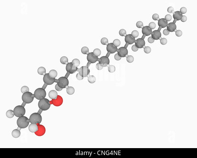 Poison ivy poison molecule Stock Photo