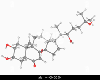 Ecdysone molecule Stock Photo