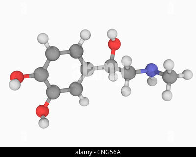 Epinephrine molecule Stock Photo