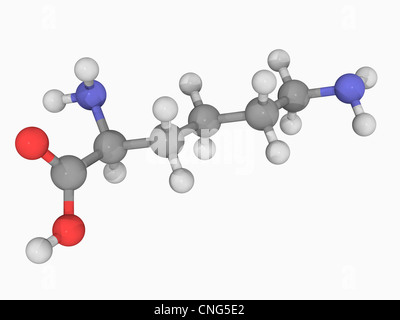 Lysine molecule Stock Photo