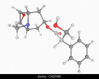 Scopolamine drug molecule Stock Photo