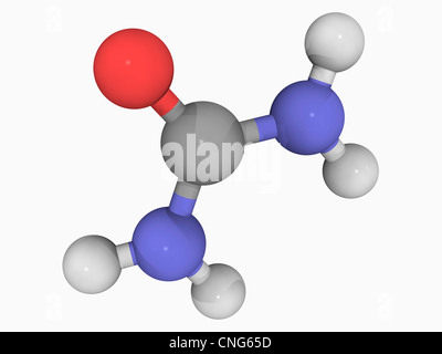 Urea molecule Stock Photo