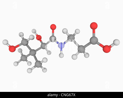 Vitamin B5 (pantothenic acid) molecule Stock Photo