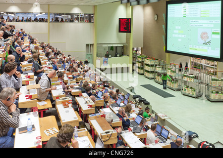 Holland, Aalsmeer, Aalsmeer flower auction, the Dutch Bloemenveiling Aalsmeer. In the auction house. Stock Photo