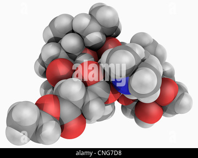 Erythromycin ethylsuccinate drug molecule Stock Photo