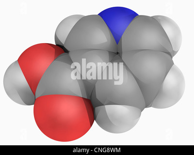 Vitamin B3 (nicotinic acid) molecule Stock Photo