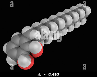 Poison ivy poison molecule Stock Photo