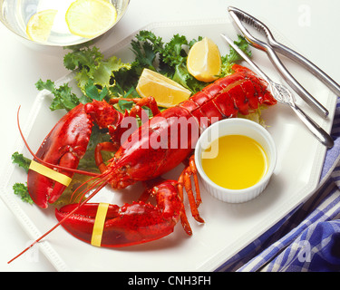 boiled lobster dinner Stock Photo