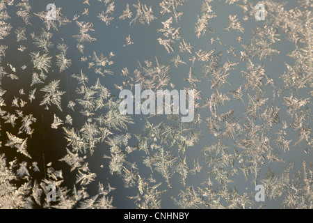 Frost on a window Stock Photo