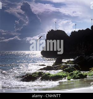 A silhouetted person diving off a cliff, Maui, Hawaii Stock Photo