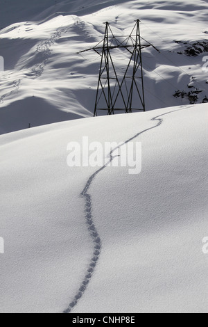 Snow footprints on hill with electric pylon in background Stock Photo