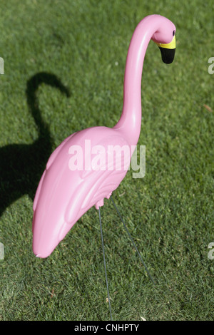 A plastic pink flamingo stuck in a lawn, close-up Stock Photo