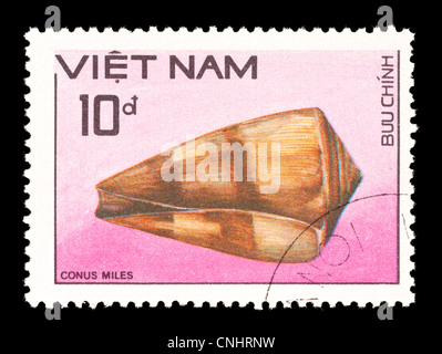 Postage stamp from Vietnam depicting a soldier cone shell (Conus miles) Stock Photo