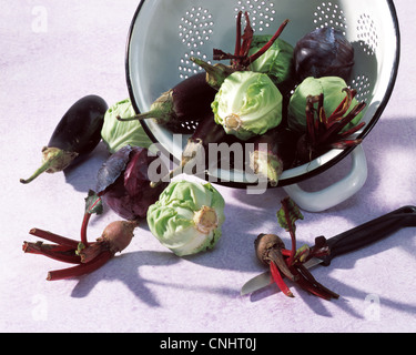 Still: mini - vegetables: red cabbage, white cabbage, aubergines and beetroot in colander Stock Photo