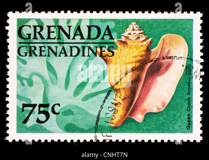 Postage stamp from Grenada Grenadines depicting a queen conch (Strombus gigos) Stock Photo