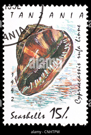 Postage stamp from Tanzania depicting a seashell bullmouth or red helmet shell (Cypraecassis rufa) Stock Photo