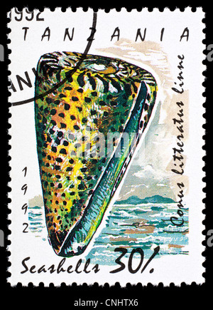 Postage stamp from Tanzania depicting a lettered cone seashell (Conus litteratus) Stock Photo